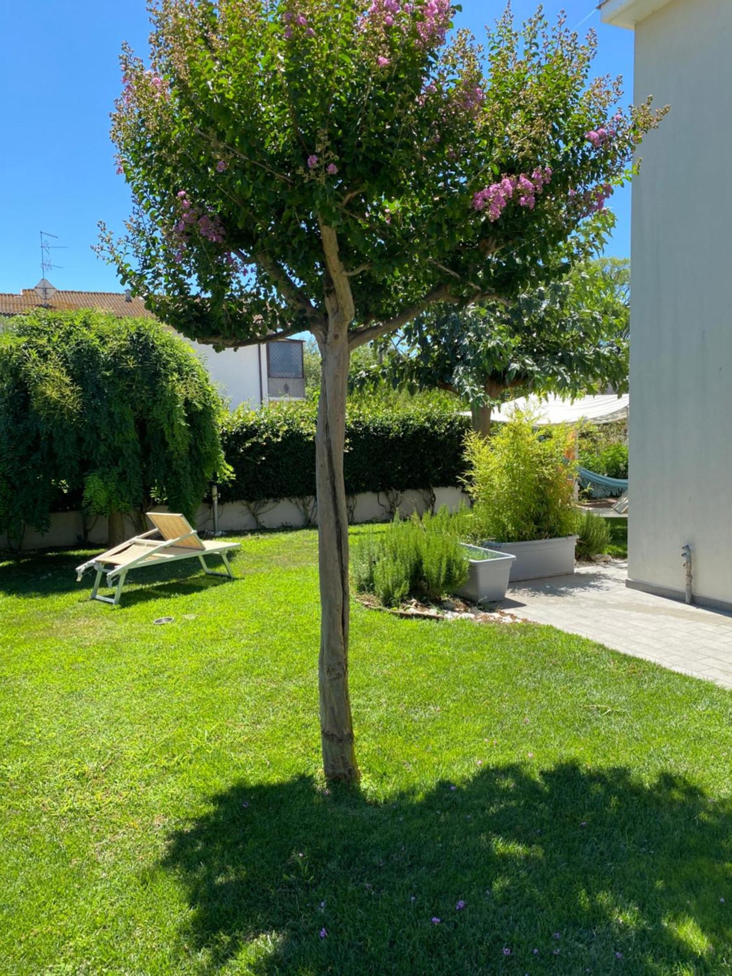 סאביו די רוונה B&B Il Giardino Dello Yogi מראה חיצוני תמונה